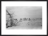 View of Wilfred Thesiger's travelling ...