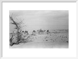 View of Wilfred Thesiger's travelling ...