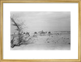 View of Wilfred Thesiger's travelling ...