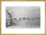 View of Wilfred Thesiger's travelling ...