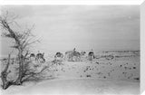 View of Wilfred Thesiger's travelling ...
