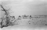 View of Wilfred Thesiger's travelling ...