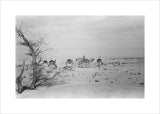 View of Wilfred Thesiger's travelling ...