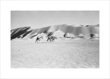 View of Wilfred Thesiger's party ...