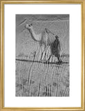 View of a Bedouin man ...