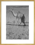 View of a Bedouin man ...