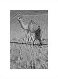 View of a Bedouin man ...