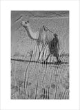 View of a Bedouin man ...