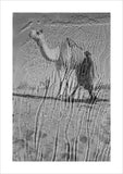 View of a Bedouin man ...