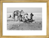 View of Wilfred Thesiger's party ...