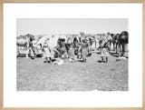 View of Wilfred Thesiger's Bedouin ...