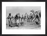 Portrait of Salim bin Kabina ...