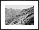 View of vegetation growing on ...