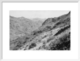 View of vegetation growing on ...