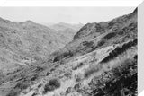 View of vegetation growing on ...