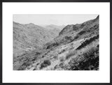 View of vegetation growing on ...