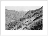 View of vegetation growing on ...