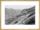 View of vegetation growing on ...