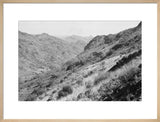 View of vegetation growing on ...