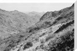 View of vegetation growing on ...