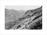 View of vegetation growing on ...
