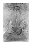 Portrait of Muhammad, a sheikh ...