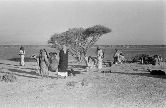 View of Wilfred Thesiger's Bedouin ...