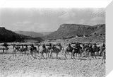 Wilfred Thesiger's party in the ...