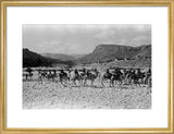 Wilfred Thesiger's party in the ...