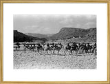 Wilfred Thesiger's party in the ...