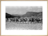 Wilfred Thesiger's party in the ...