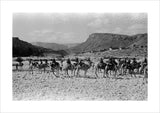 Wilfred Thesiger's party in the ...