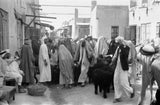 View of a group of ...