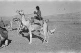 View of a member of ...