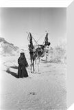 View of a woman from ...