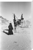 View of a woman from ...