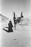 View of a woman from ...
