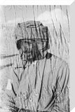 Portrait of a member of ...