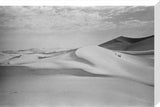 View of a high dune ...