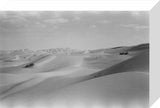 View of high rolling dunes ...