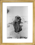Portrait of a woman of ...