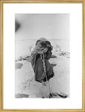 Portrait of a woman of ...