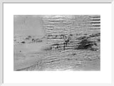 View of Wilfred Thesiger's party ...