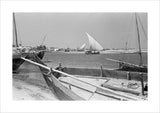 View of dhows (sailboats) beached ...
