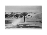 View of Wilfred Thesiger's travelling ...