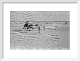 View of Wilfred Thesiger's travelling ...