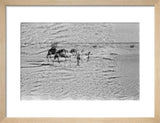 View of Wilfred Thesiger's travelling ...