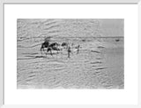 View of Wilfred Thesiger's travelling ...