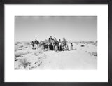 View of camels, ridden by ...
