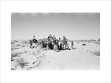 View of camels, ridden by ...